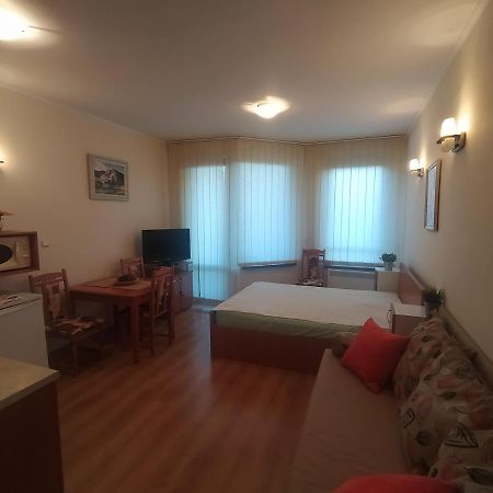 Pine Tree Studio B11 Μπάνσκο Εξωτερικό φωτογραφία