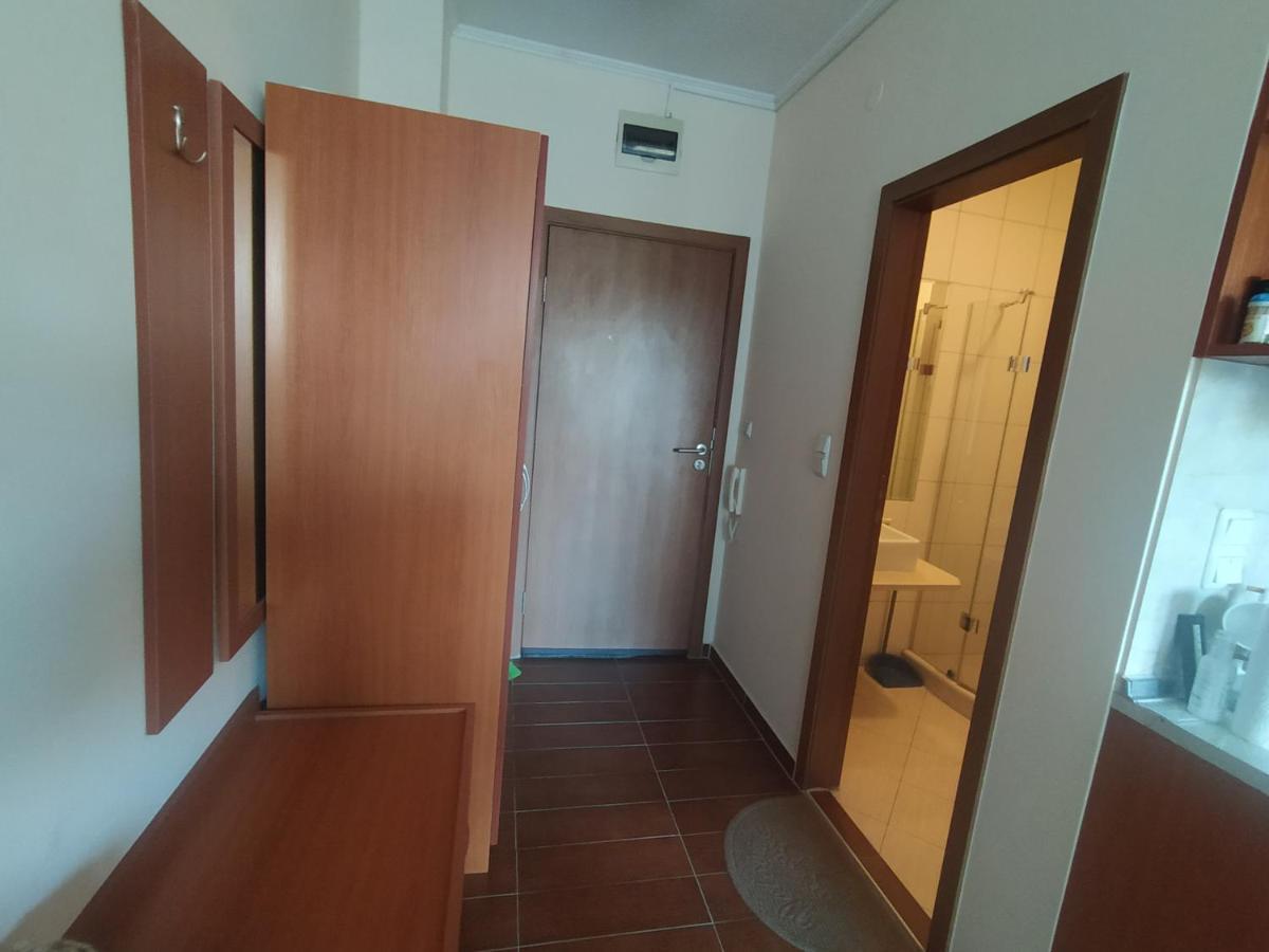 Pine Tree Studio B11 Μπάνσκο Εξωτερικό φωτογραφία