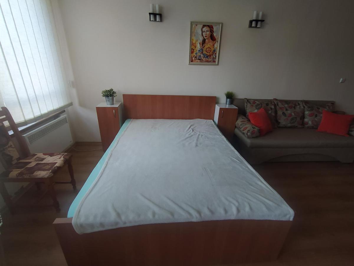 Pine Tree Studio B11 Μπάνσκο Εξωτερικό φωτογραφία