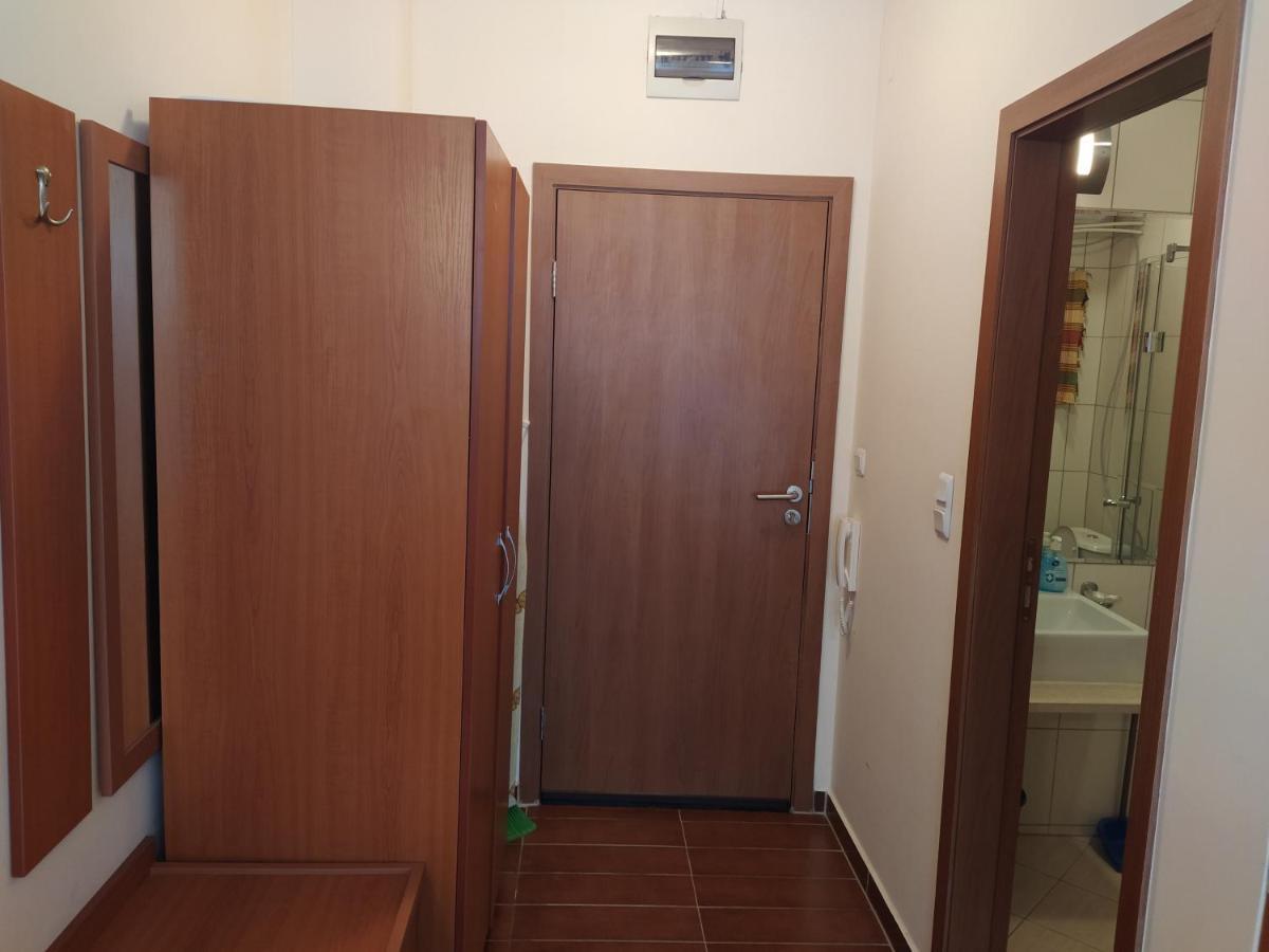 Pine Tree Studio B11 Μπάνσκο Εξωτερικό φωτογραφία