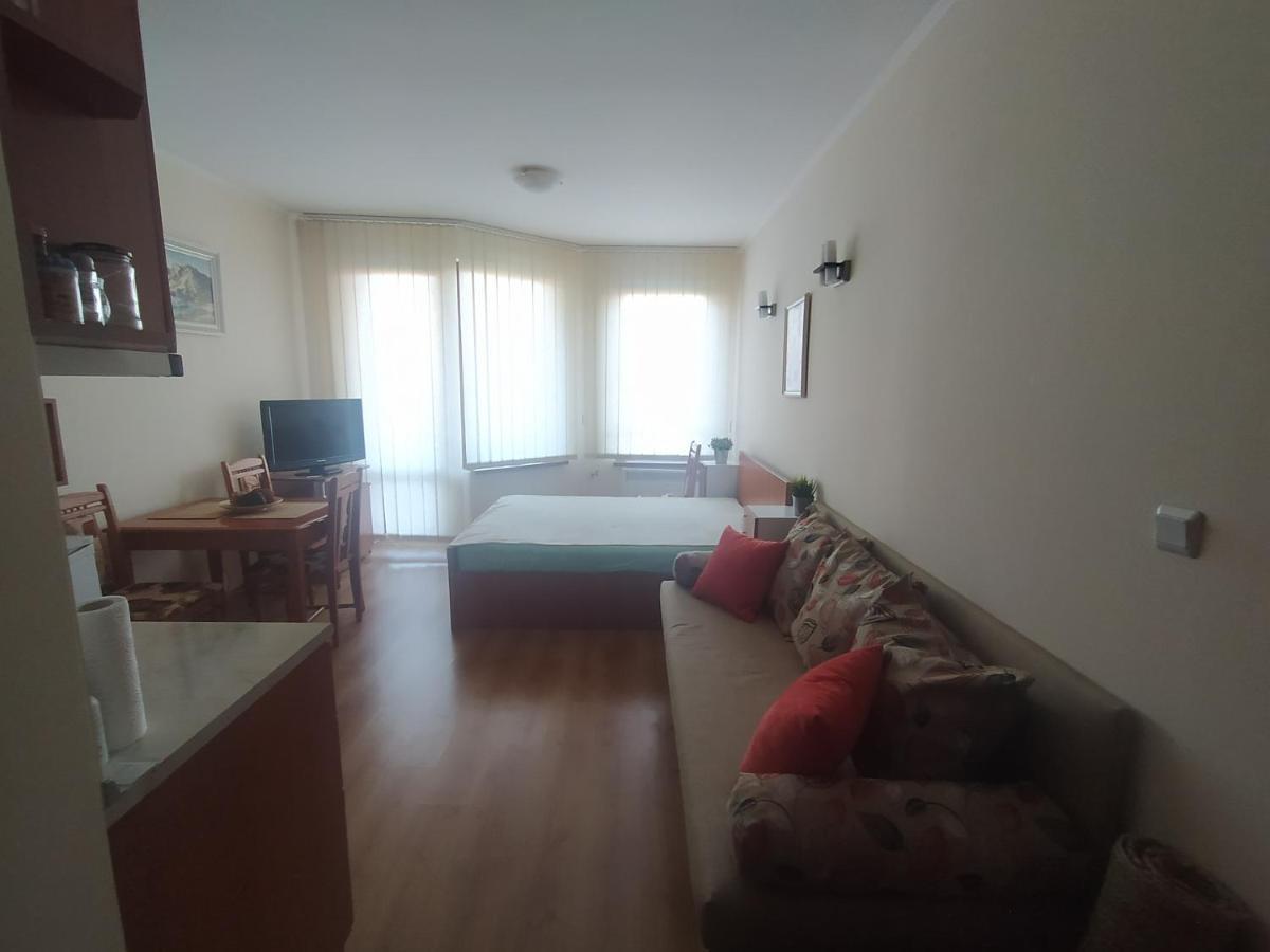 Pine Tree Studio B11 Μπάνσκο Εξωτερικό φωτογραφία