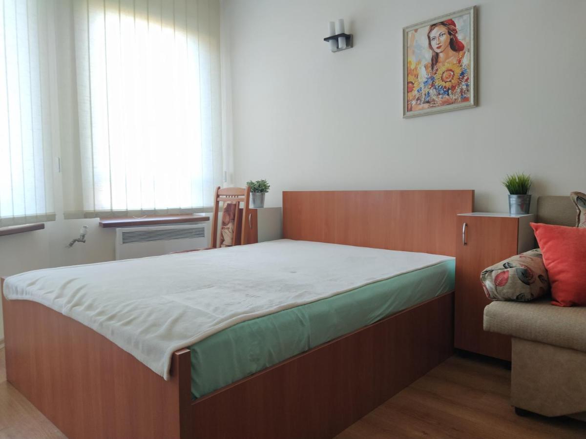 Pine Tree Studio B11 Μπάνσκο Εξωτερικό φωτογραφία